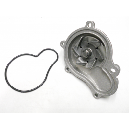 Bomba para Agua Carter P-2422